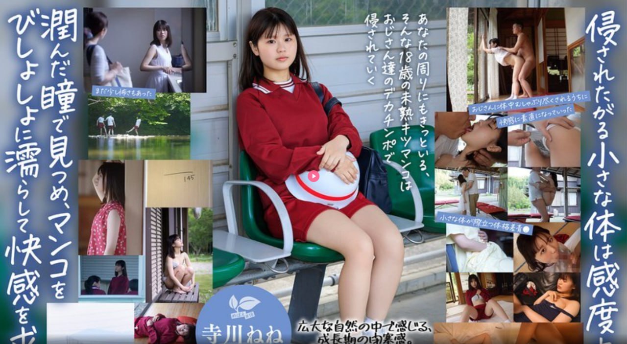 和搜子同屋的日子3メイリン モデルコレクション メ吉泽明步AV种子 magnet